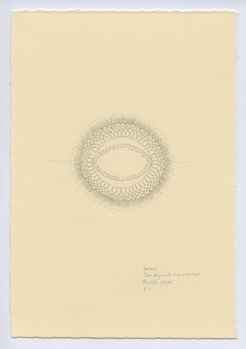 Studies from Voynich manuscript