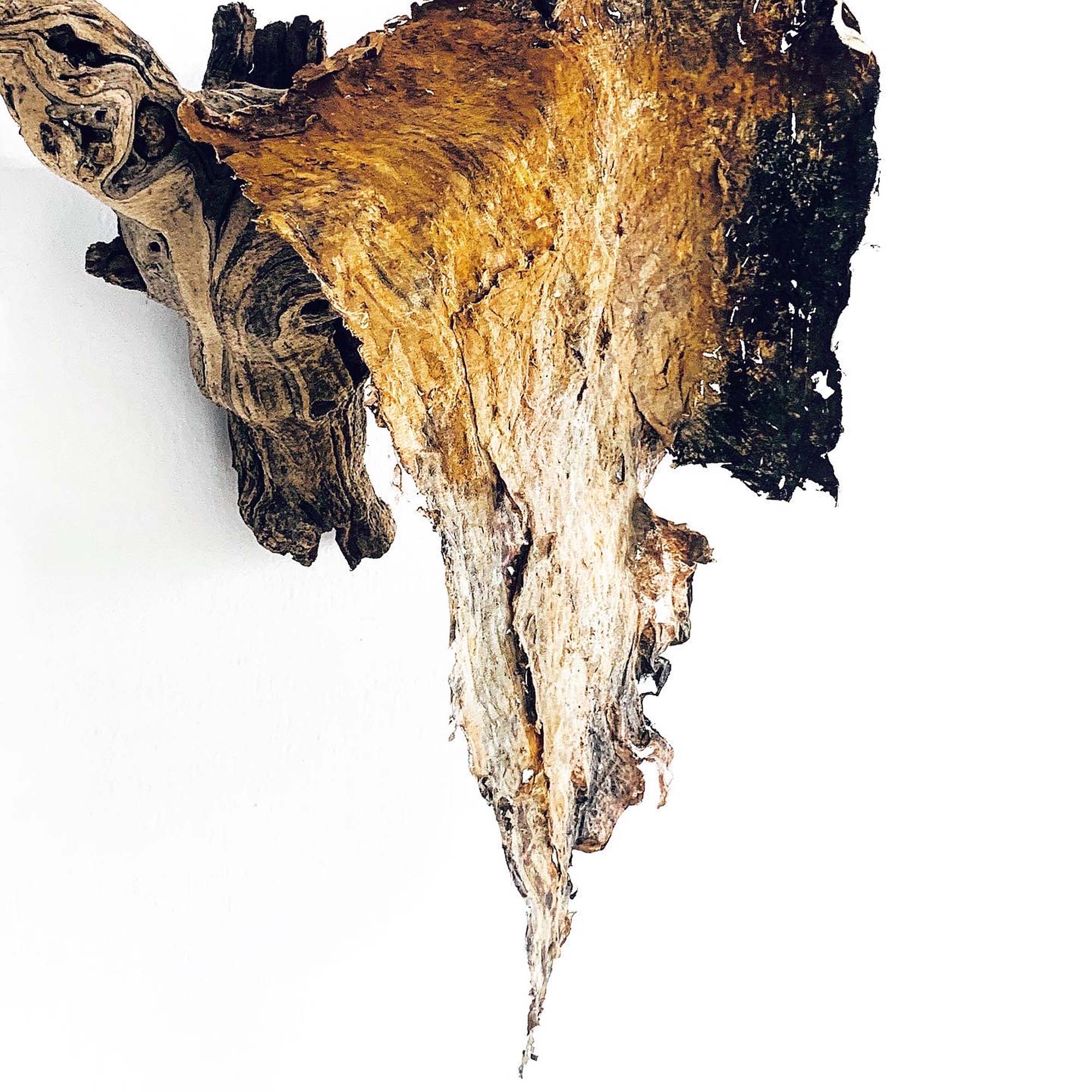 Karla Kantorovich Dimensions Variable