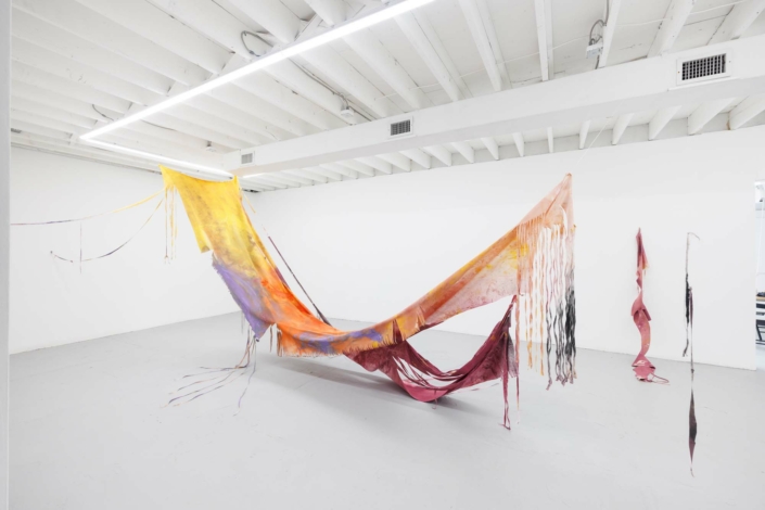 Scrim—Vaughn Davis Jr.
