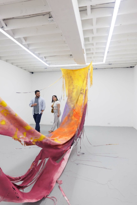 Scrim—Vaughn Davis Jr. Reception