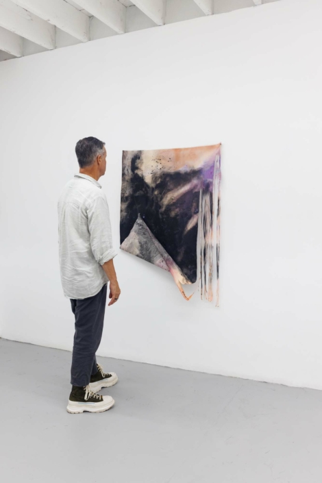 Scrim—Vaughn Davis Jr. Reception