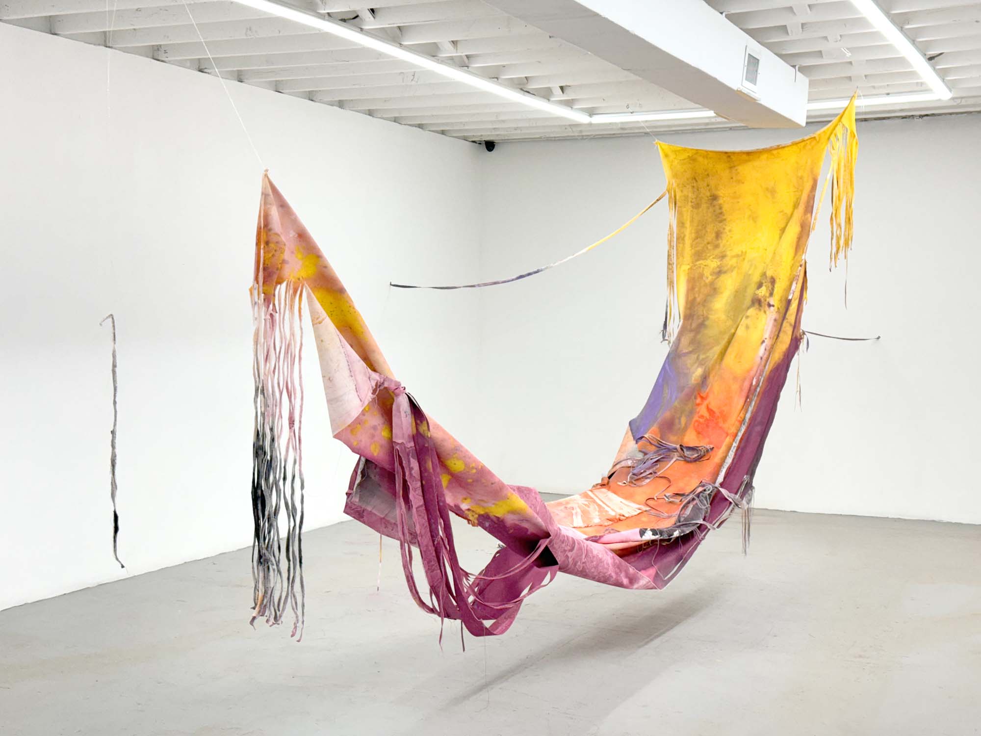 Vaughn Davis Jr. The Wave,