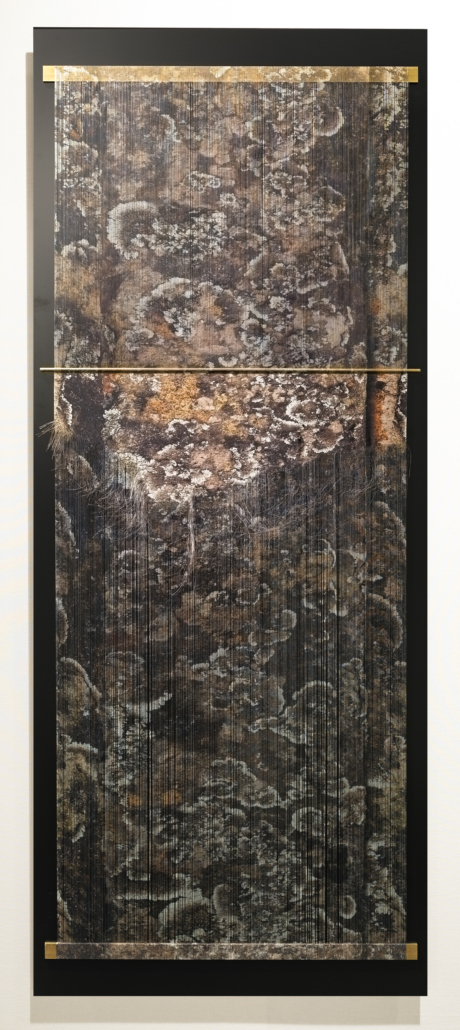 leyla cardenas - Warp of Mutualisms II
