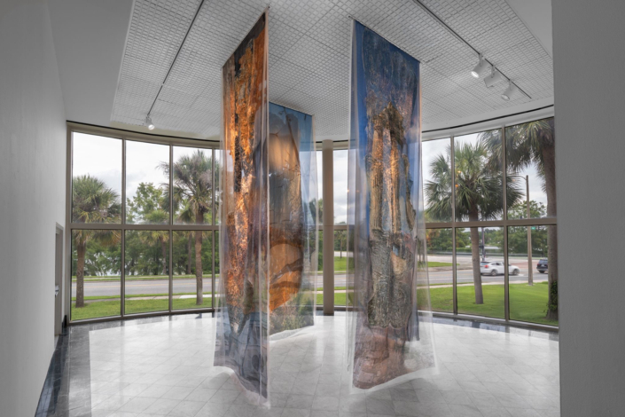 Lisu Vega Installation