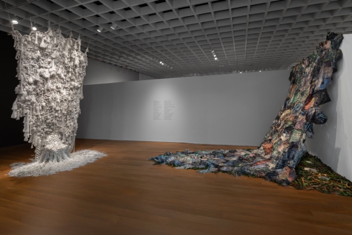 Lisu Vega Installation