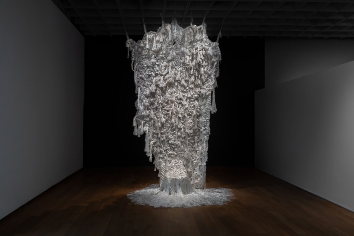 Lisu Vega Installation
