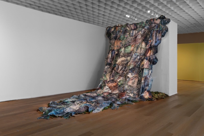 Lisu Vega Installation