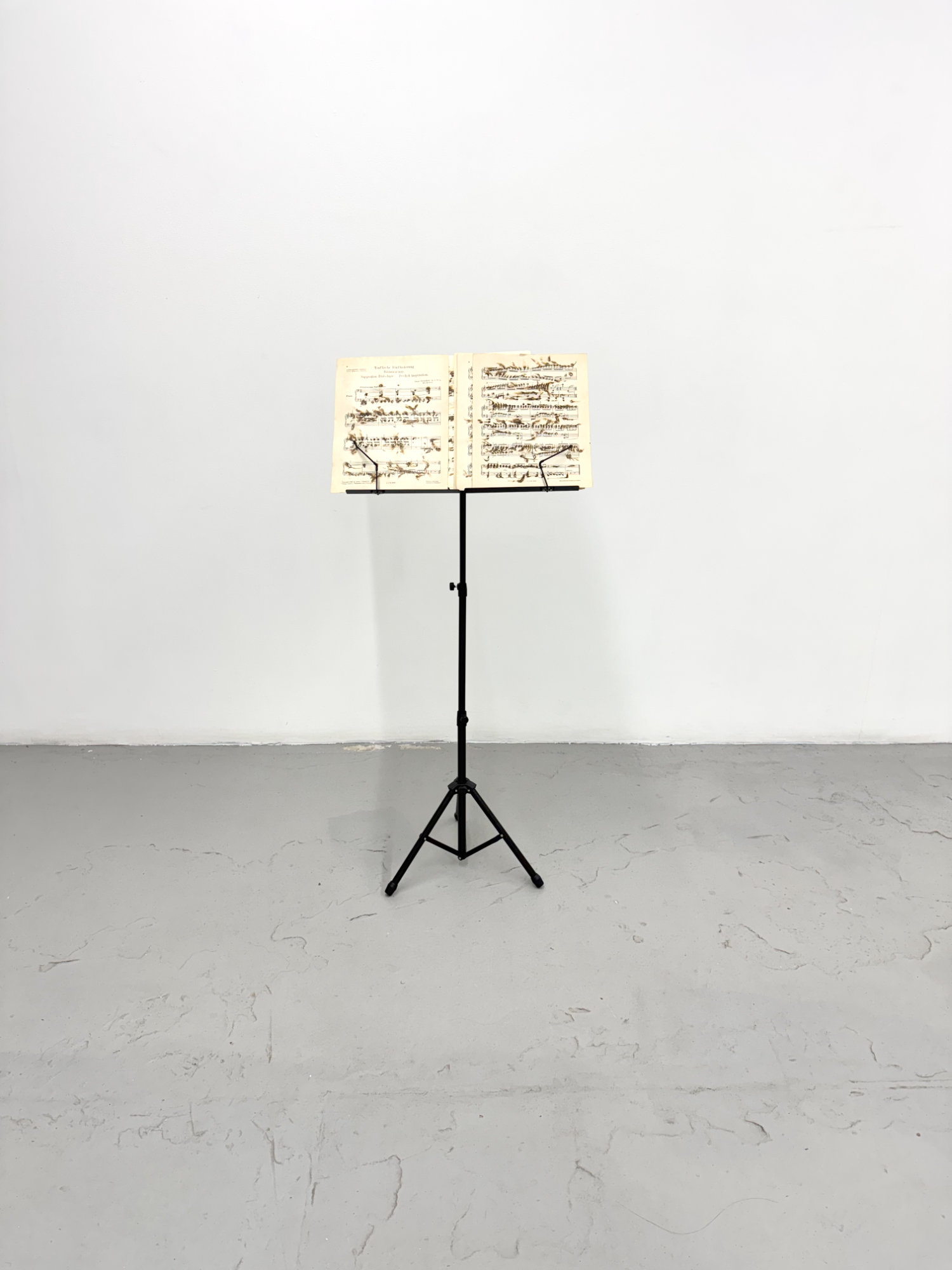 Alexis Martínez, Branch Whispers, 2025