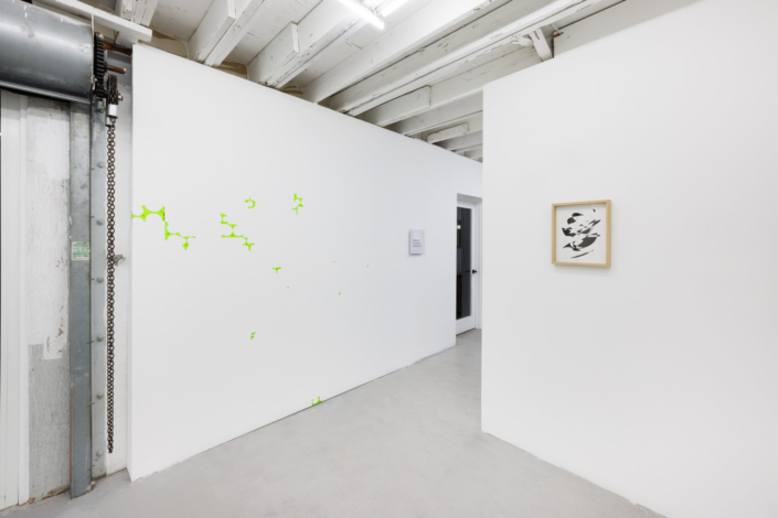 Angles of Incredulity Ariel Orozco
