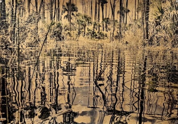 Deryn Cowdy Everglades Deryn Cowdy Everglades