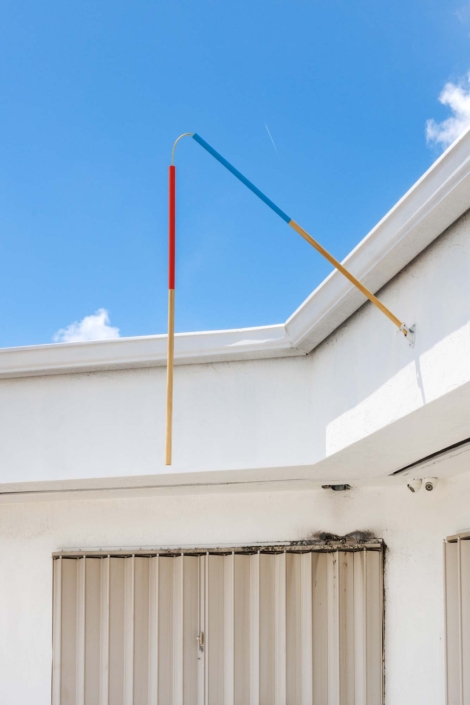 Alfredo Travieso Flag For Demagogues