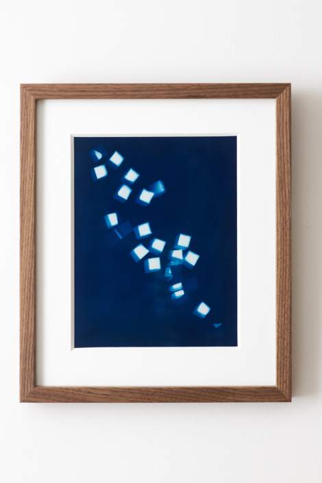 BellaCardim SugarBlues framed