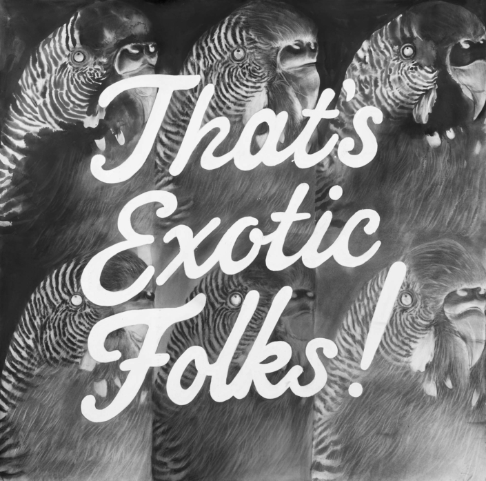 That’s Exotic Folks xin ink enamel charcoalonpaper That's Exotic Folks xin ink enamel charcoalonpaper
