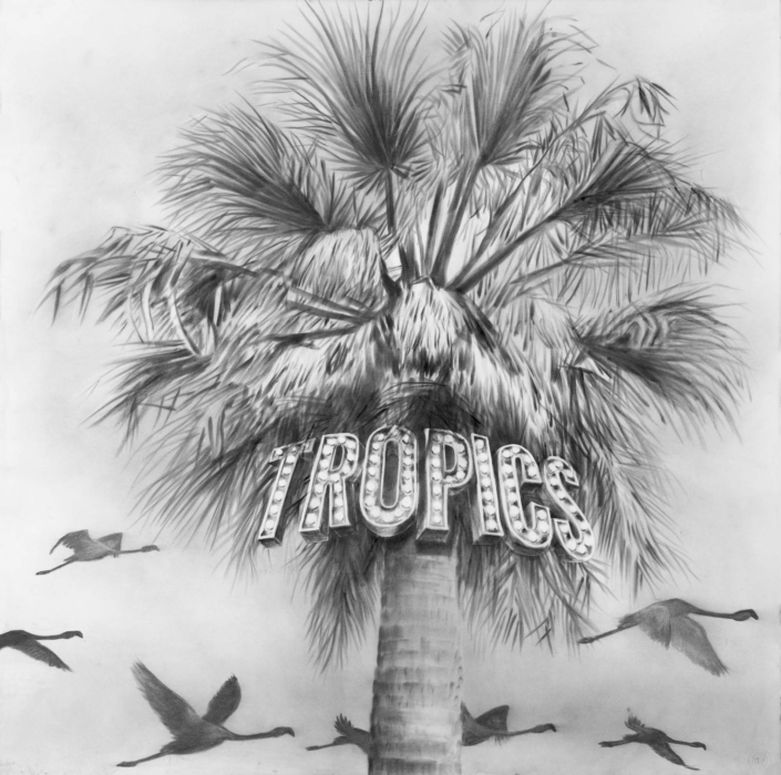 Tropics xin charcoalonpaper Tropics xin charcoalonpaper