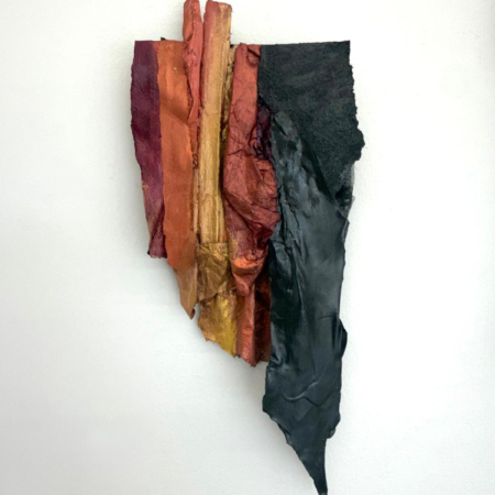 Field of Convergence V Karla Kantorovich