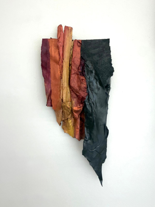 Field of Convergence V Karla Kantorovich