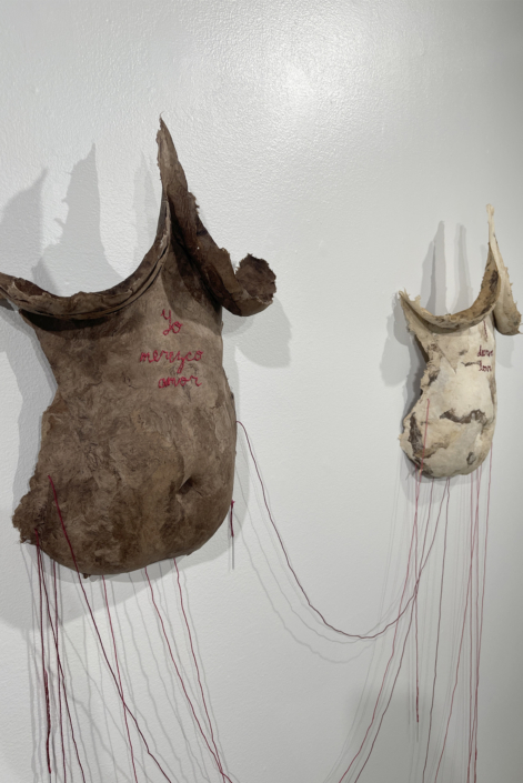Amanda Covach work